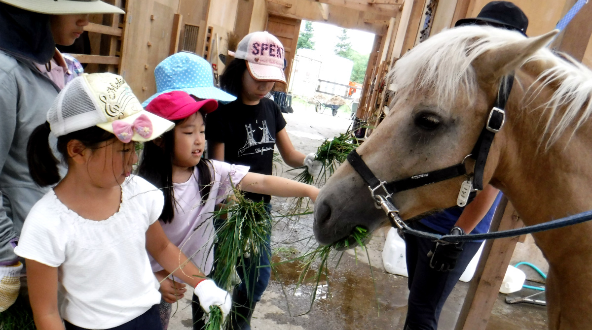 【ネイチャーキッズ】17713：北海道新幹線で行く！動物と暮らす北海道・牧場キャンプ