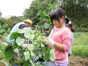 2018年9月「みんなで作る！子ども村」3日目