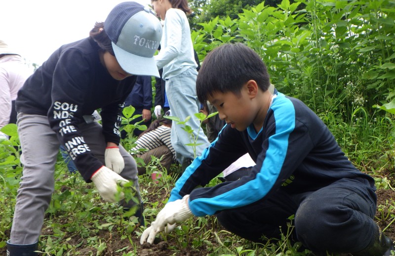 夏休み子どもサマーキャンプ2023「みんなで作る！子ども村コース」1日目