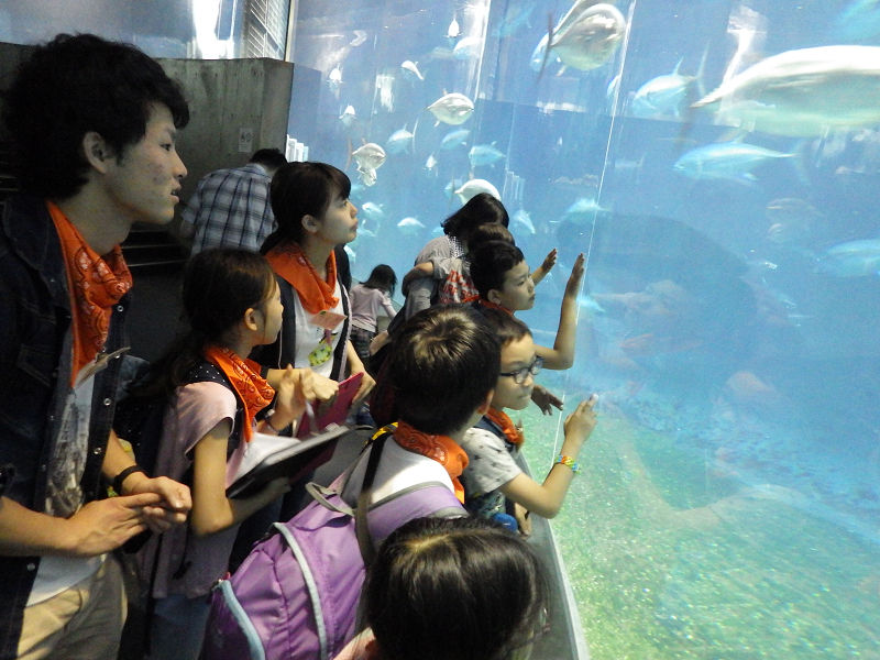 オモシロ★理科教室～ドキドキ実験&水族館探検
