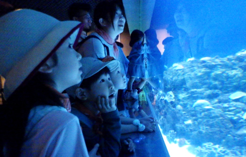 2025年5月25日「オモシロ理科教室～ドキドキ実験&水族館探検」活動報告