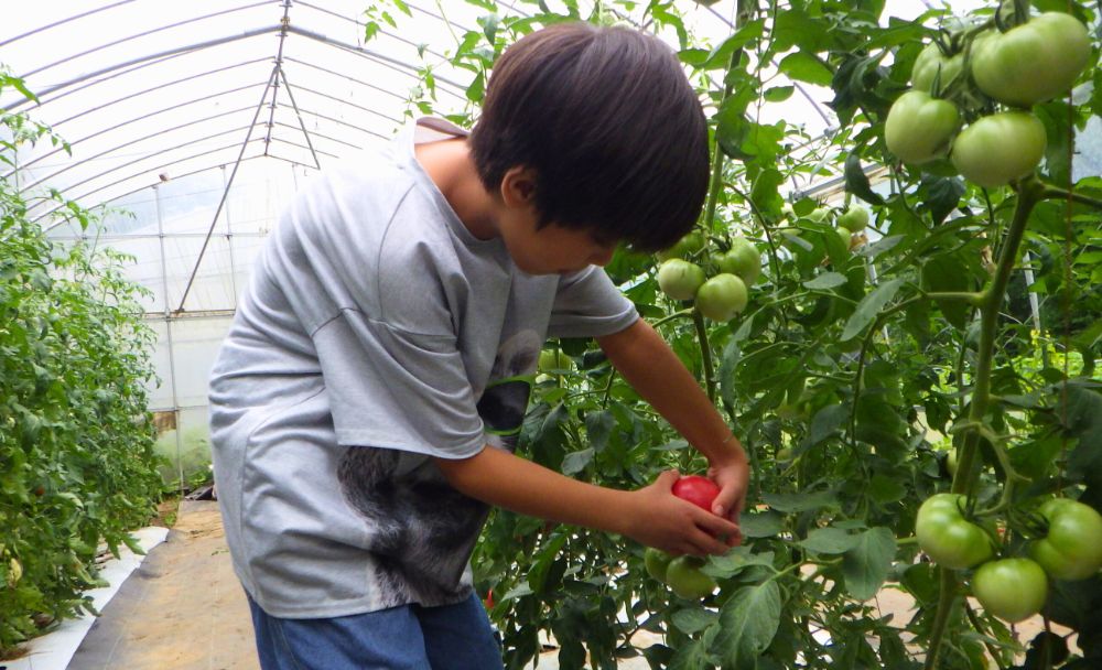 2025年8月夏休み子どもサマーキャンプ「みんなで作る！子ども村・経験者コース」4日目