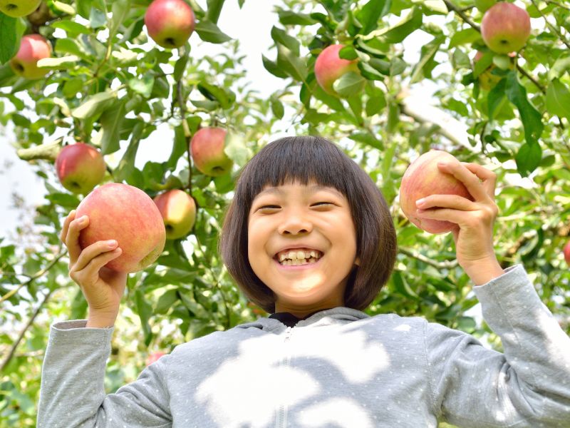 【無料・抽選】子どもワクワク自然体験ツアー：群馬で秋旅！マス釣り&リンゴ狩り