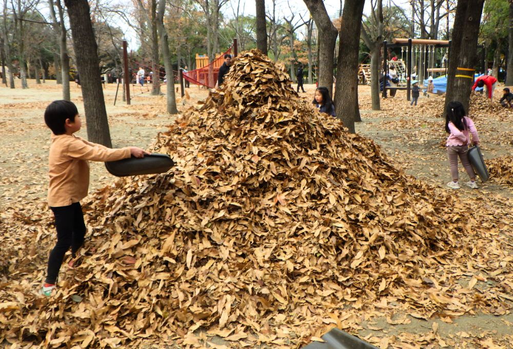 2025年12月「木場プレーパーク」を定期開催しました！