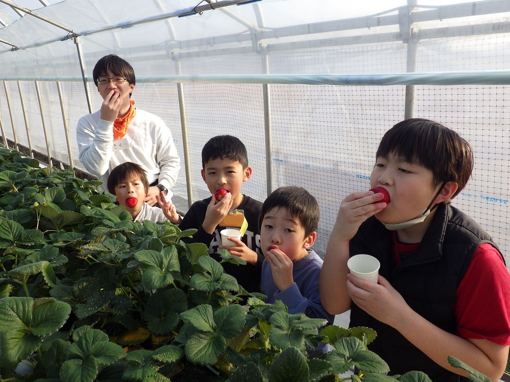 子ども日帰りバスツアー:栃木でイチゴ狩り&楽しく学べる科学体験